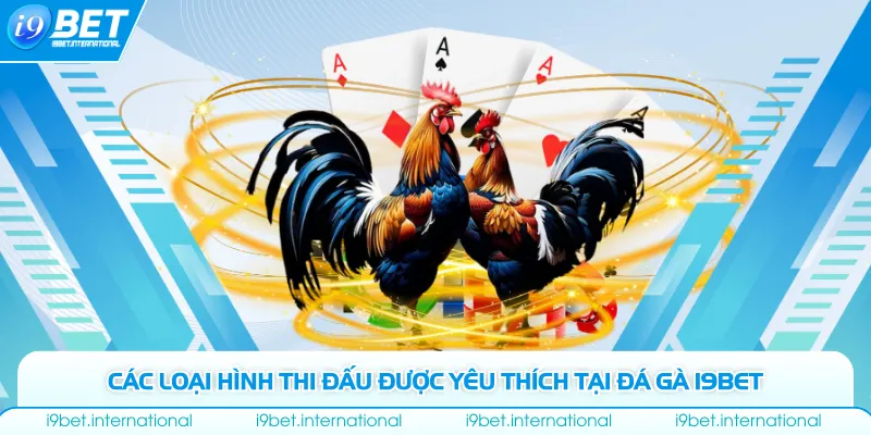 Các loại hình thi đấu được yêu thích tại đá gà I9bet