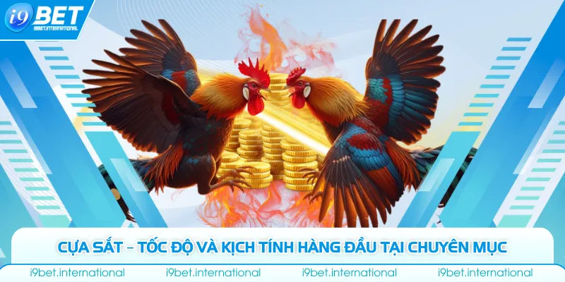 Cựa sắt – Tốc độ và kịch tính hàng đầu tại chuyên mục