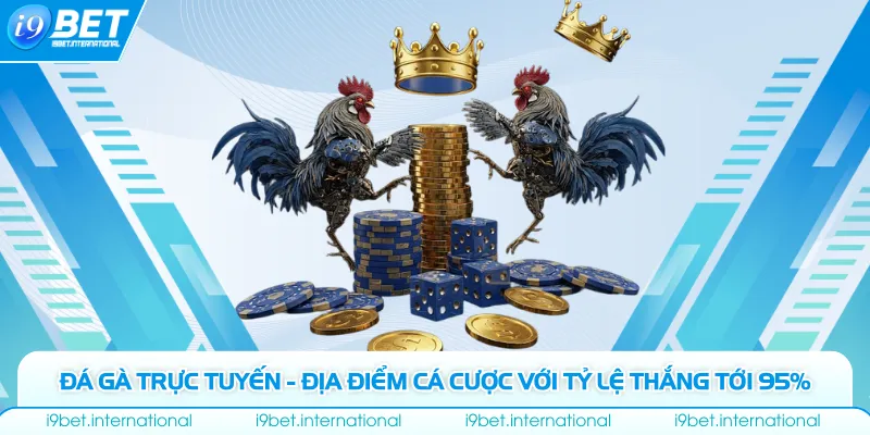 Đá Gà Trực Tuyến - Địa Điểm Cá Cược Với Tỷ Lệ Thắng Tới 95%