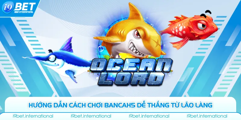 Bancah5 - Địa Điểm Giải Trí Với Hơn 10.000 Người Chơi/Ngày Hướng dẫn cách chơi bancah5 dễ thắng từ lão làng