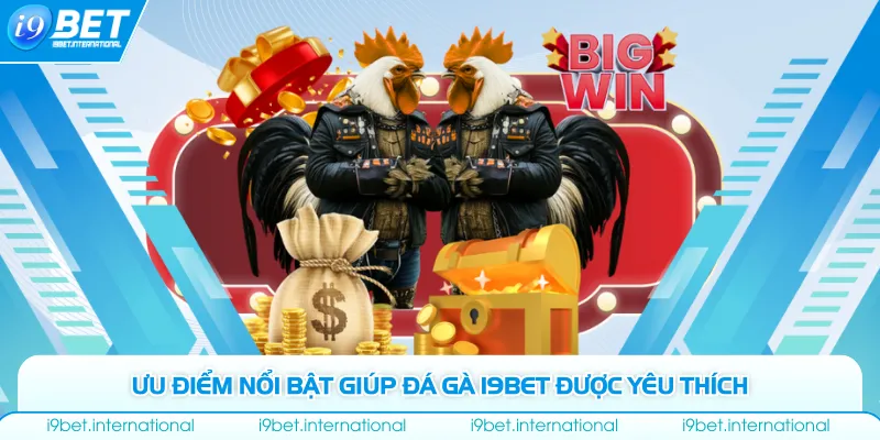 Ưu điểm nổi bật giúp đá gà I9bet được yêu thích